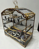 GAIOLA ARTESANAL “PAIXÃO NACIONAL” — EDIÇÃO EXCLUSIVA